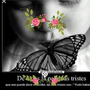 Meet your Posher, Edith